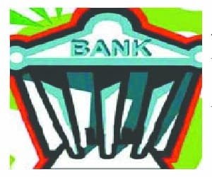 firm doing banking without permission from RBI sacked